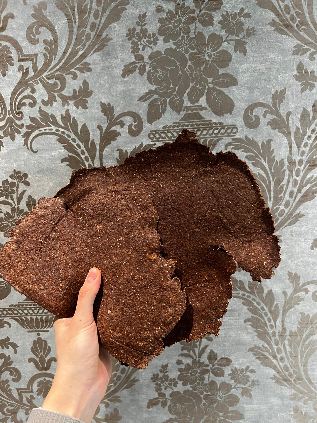 种子脆饼，无油无糖