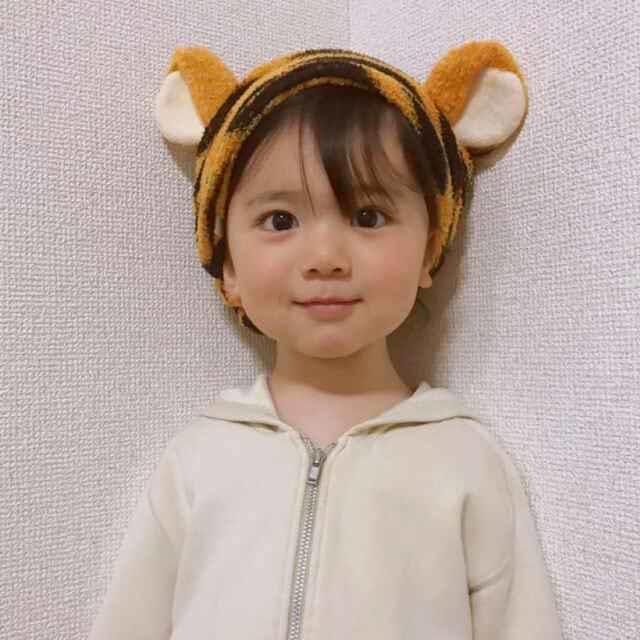 知识分子不打架