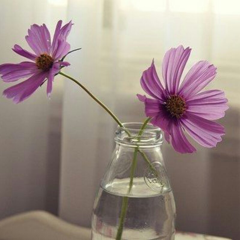 吃吃不胖的瘦子