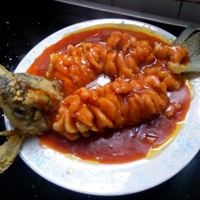 ty太阳做的松鼠鱼