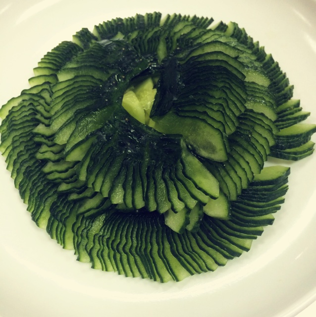 zoologist-做的蓑衣黄瓜