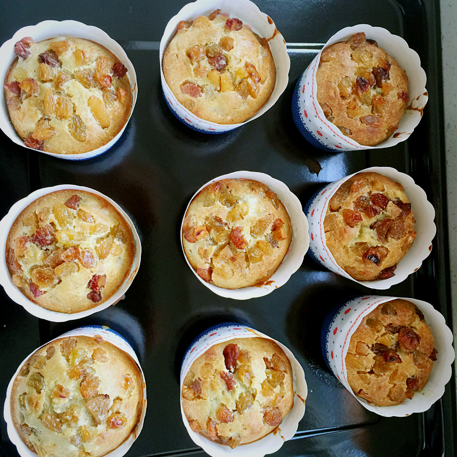 葡萄干（蔓越莓干）香蕉马芬