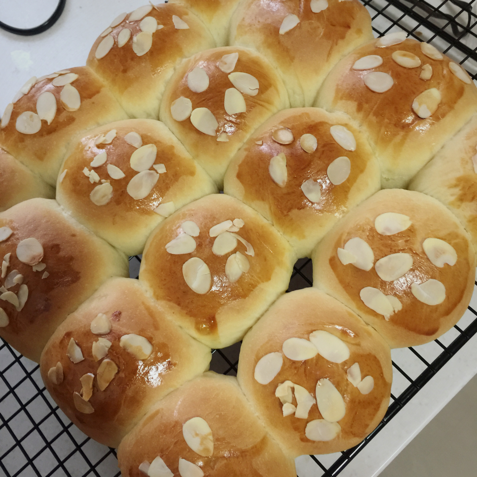 鲜奶油小餐包（一次发酵）