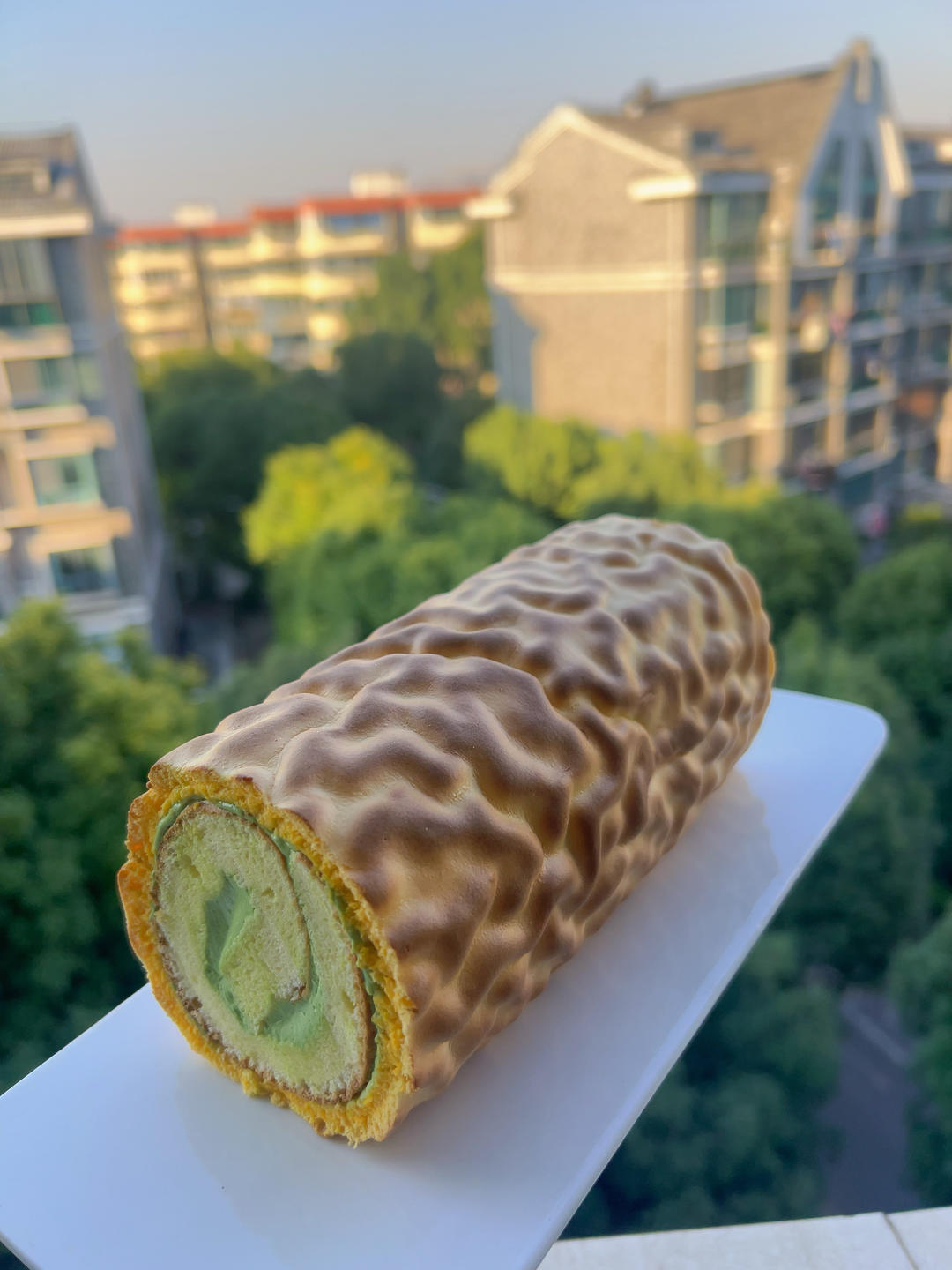 春天色 虎皮蛋糕卷.戚风蛋糕卷 by pink-rabbit