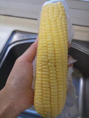 不加一滴水的玉米全麦馒头（简单粗暴版本）的做法 步骤1
