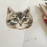ki_酱