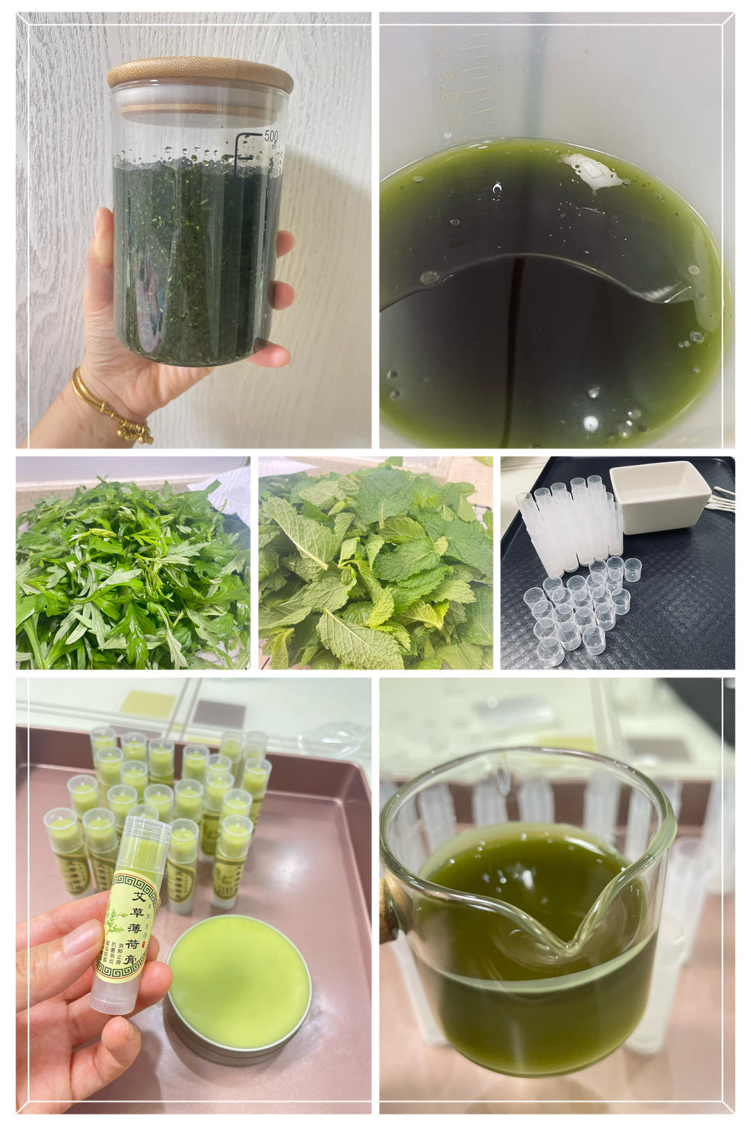 自制纯天然艾草薄荷膏（超详细版，附艾草,薄荷种植扦插方法）