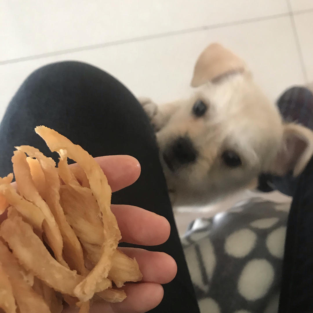 自制狗狗零食--美味香烤鸡胸肉