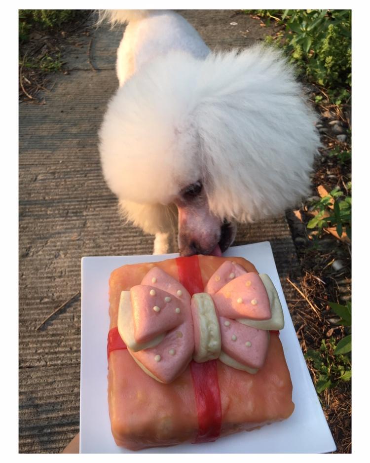 【猫饭】：鸭肉芝士宠物蛋糕