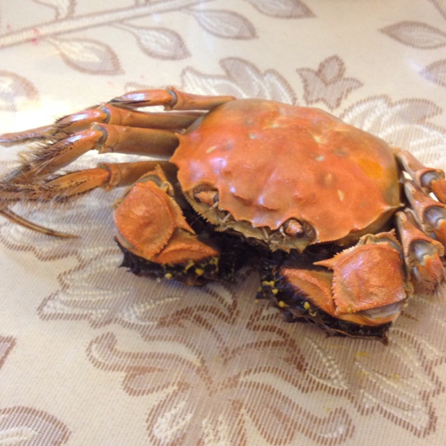 清蒸大闸蟹