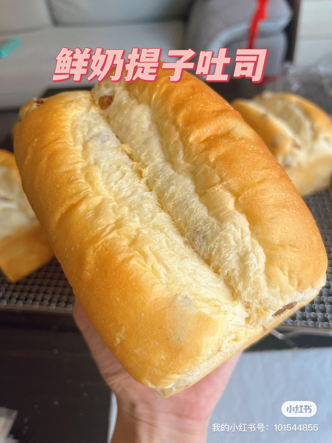 鲜奶提子吐司