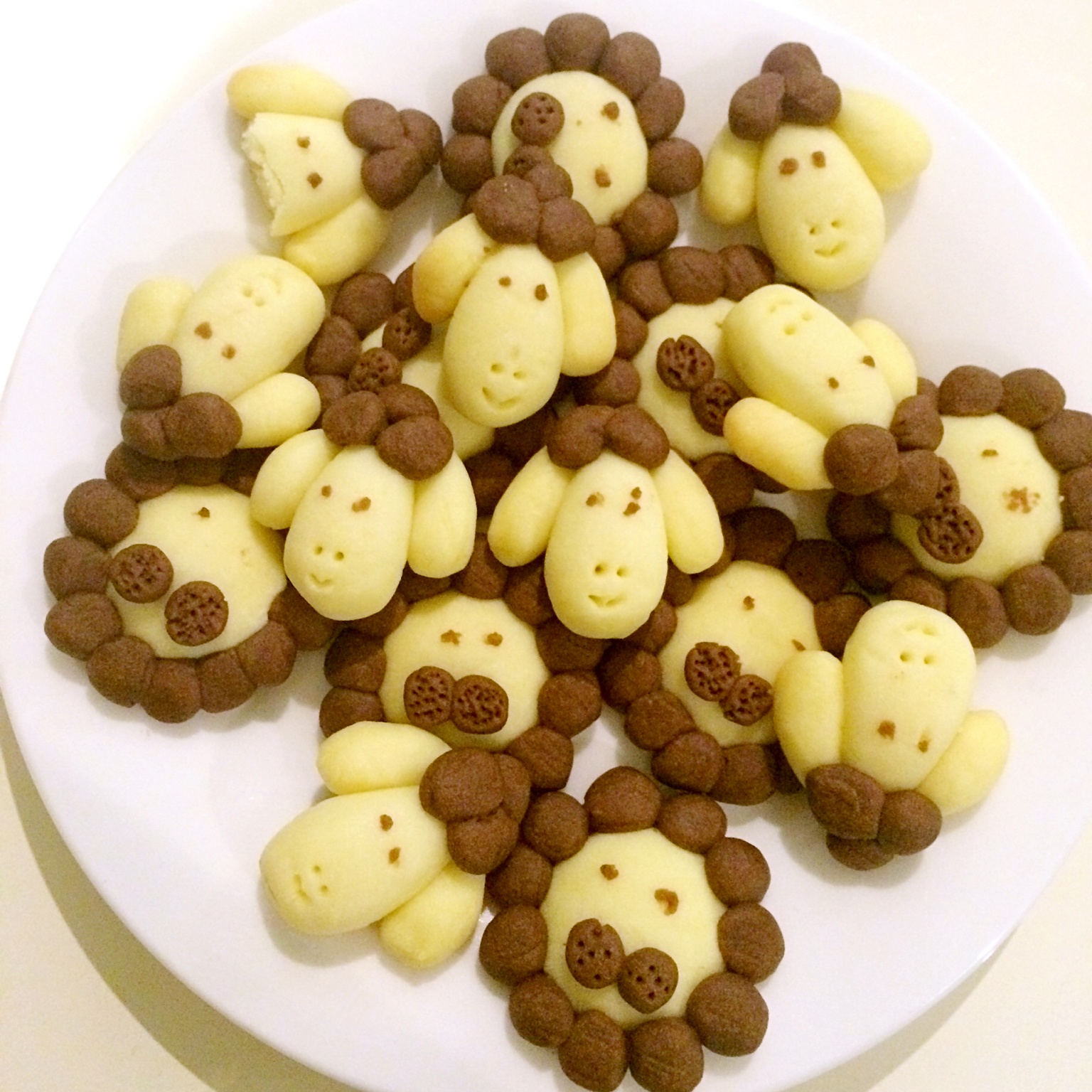 秋刀鱼鱼儿做的呆萌小狮子黄油饼干(独家造型)