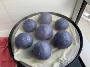 紫薯豆沙包（初学者的面食菜谱）的做法 步骤4