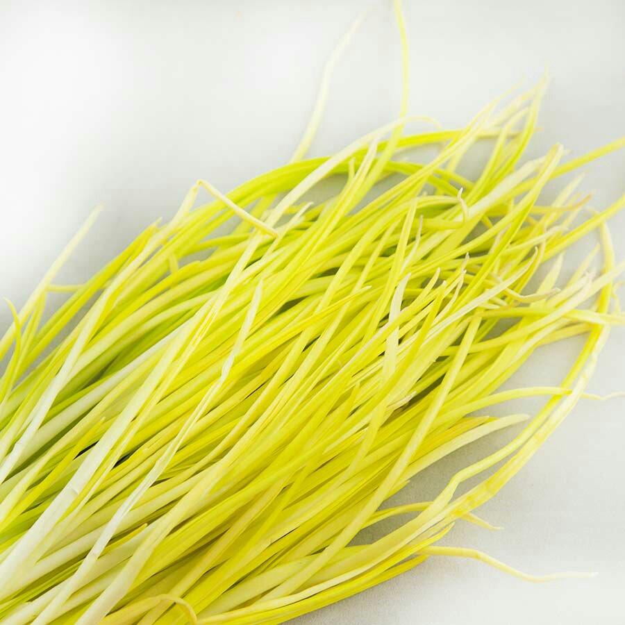 蒜黄炒鸡蛋的做法