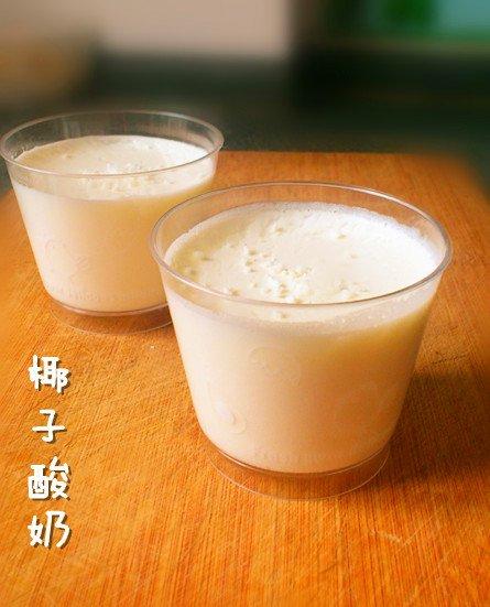 自制酸奶——椰子酸奶的做法