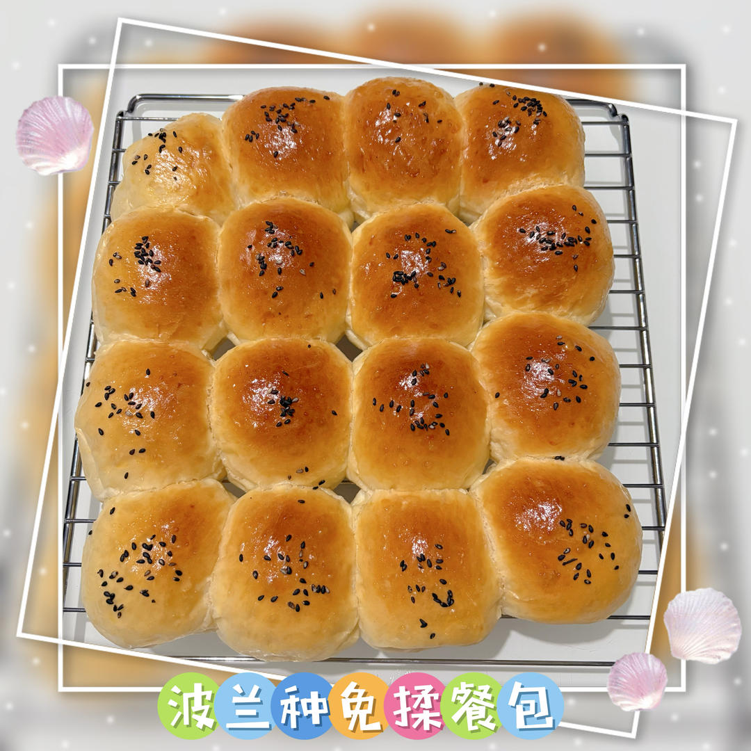 波兰种免揉餐包
