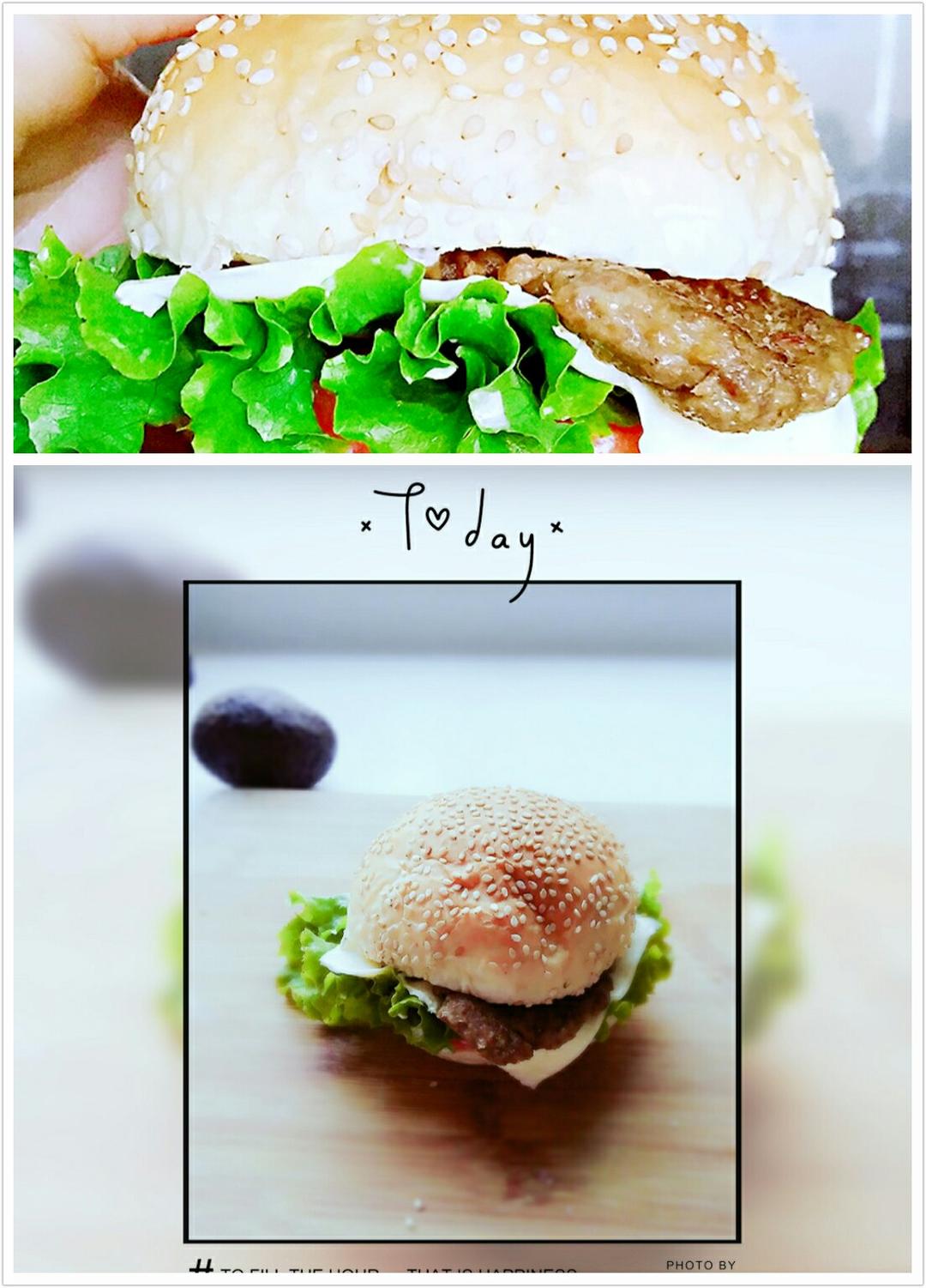 汉堡胚 poolish（波兰种）