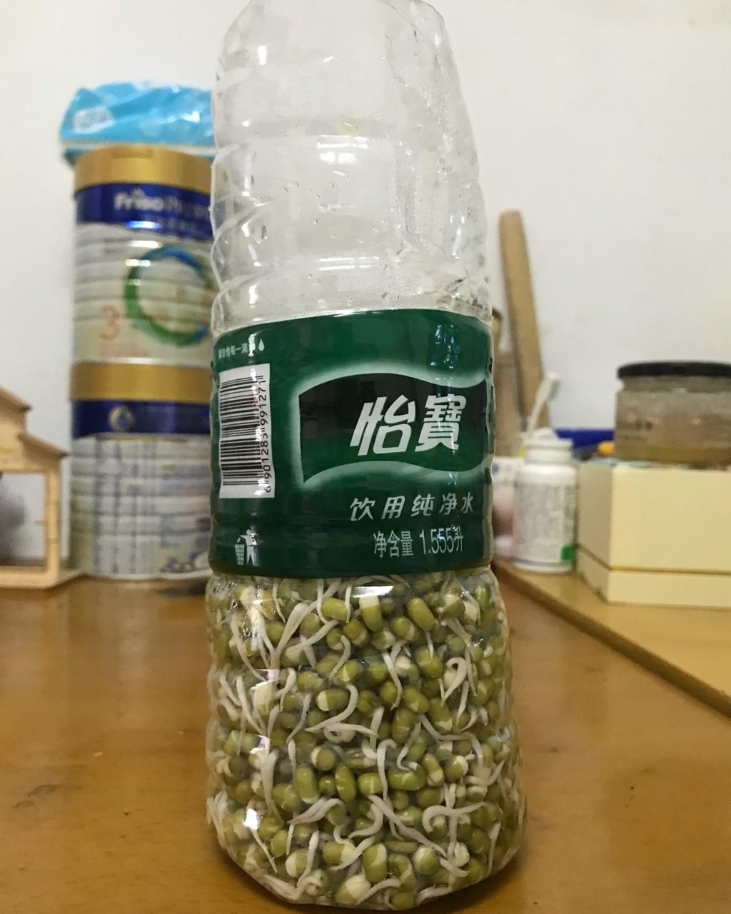 自发豆芽