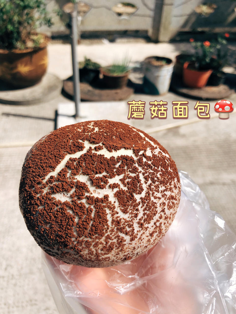 蘑菇面包