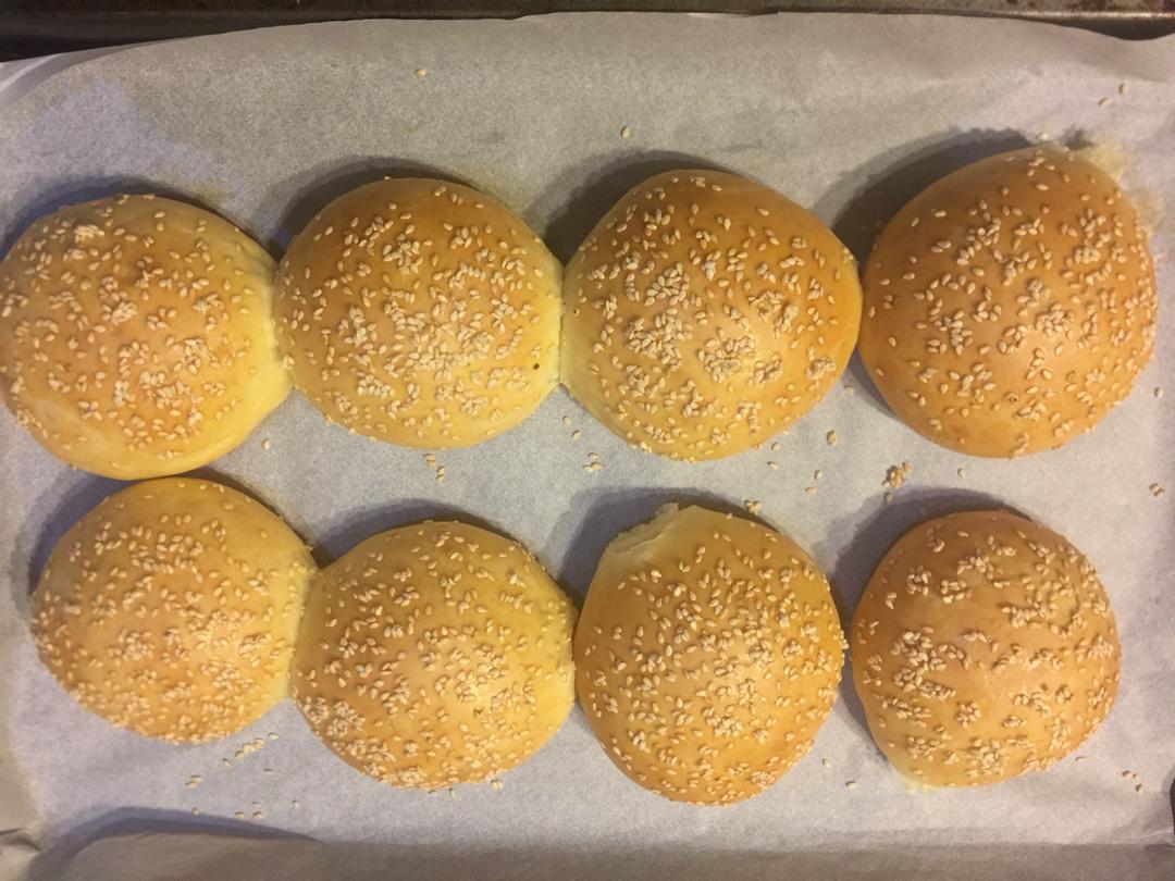 自制营养肉饼汉堡包