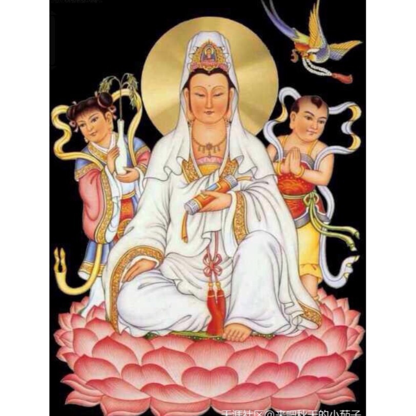 手放开_vxrf