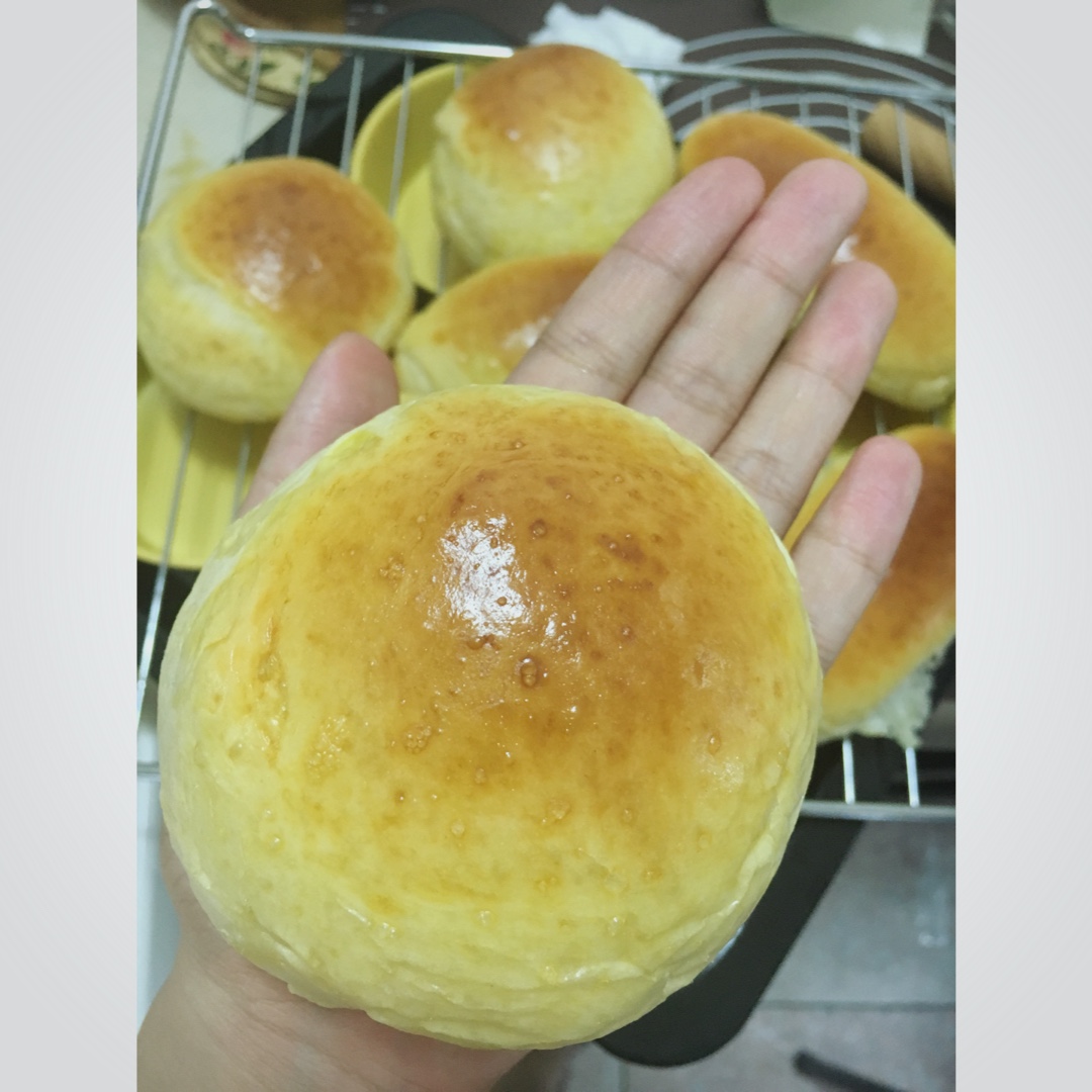 汉堡胚 poolish（波兰种）