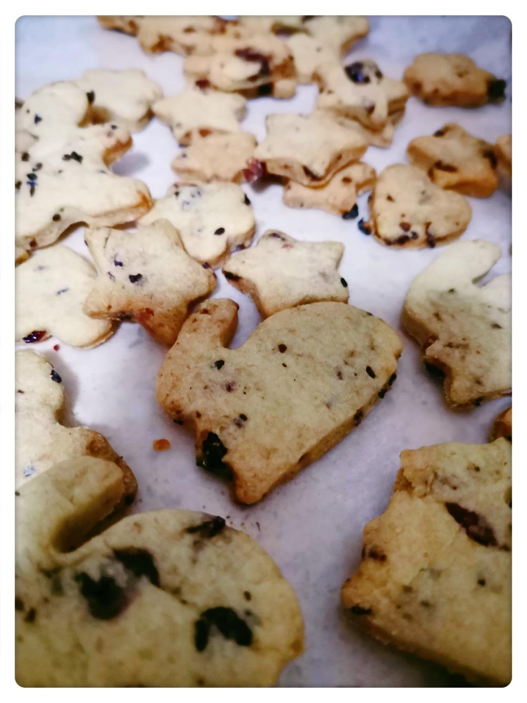 仿小皮全麦蔓越莓饼干