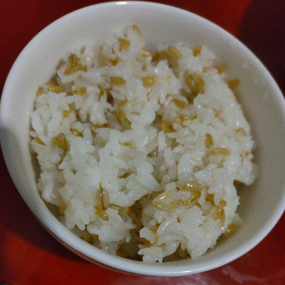 绯瑟做的燕麦米饭减脂米饭