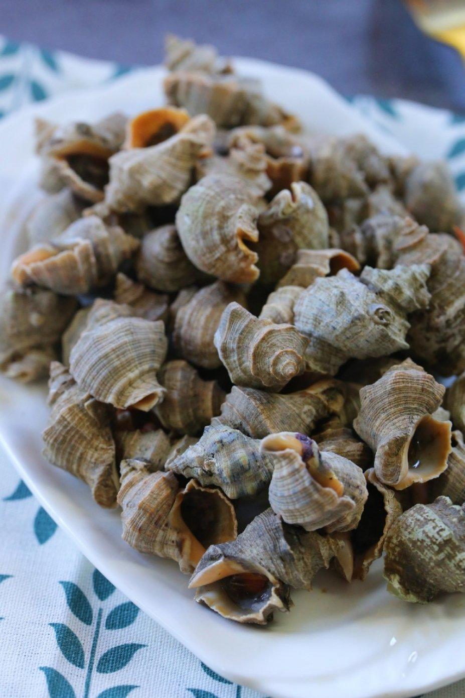 怪姐姐的回忆录做的水煮海螺