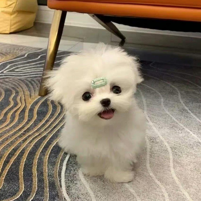 温柔小甜点