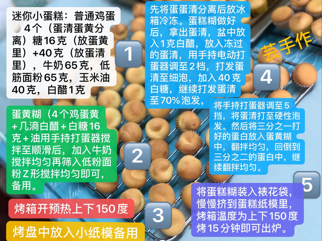 原味纸杯蛋糕🧁与原味卷蛋糕  —  原创作品
