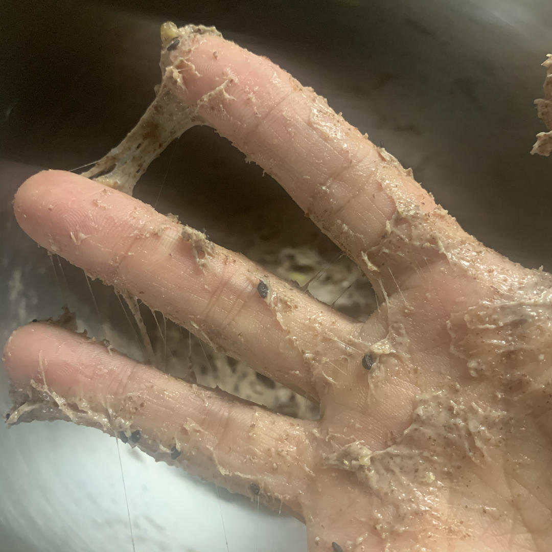 100%纯全麦藜麦吐司 波兰种