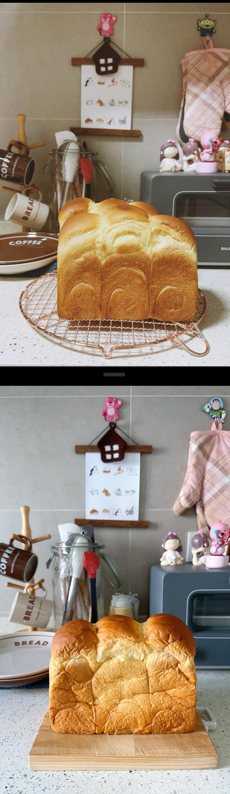 万万没想到一发椰奶吐司🍞居然好吃到流泪