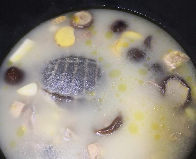 甲鱼汤的做法