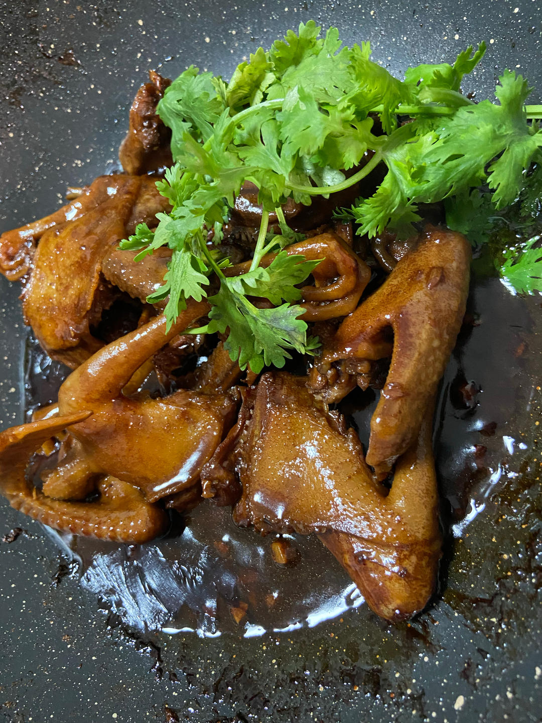 广式家常红烧鸽子