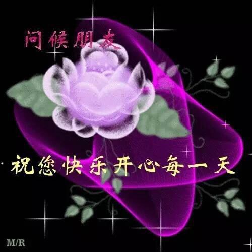 玉兰花_jdrs