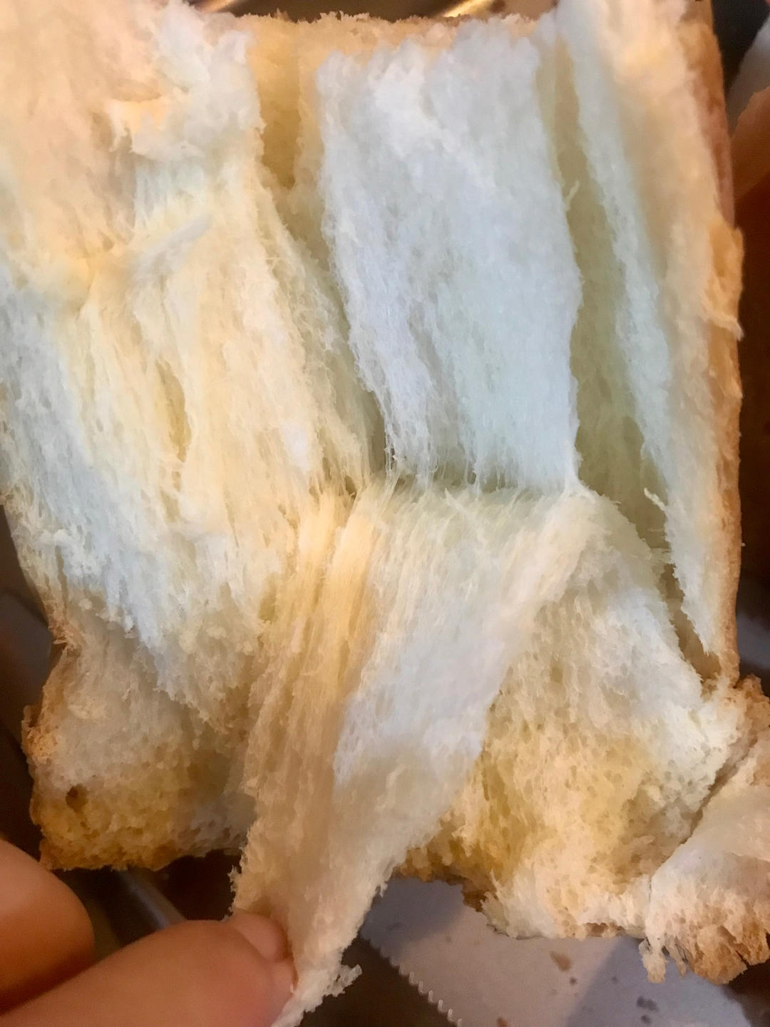 新手一发吐司，揉面机版