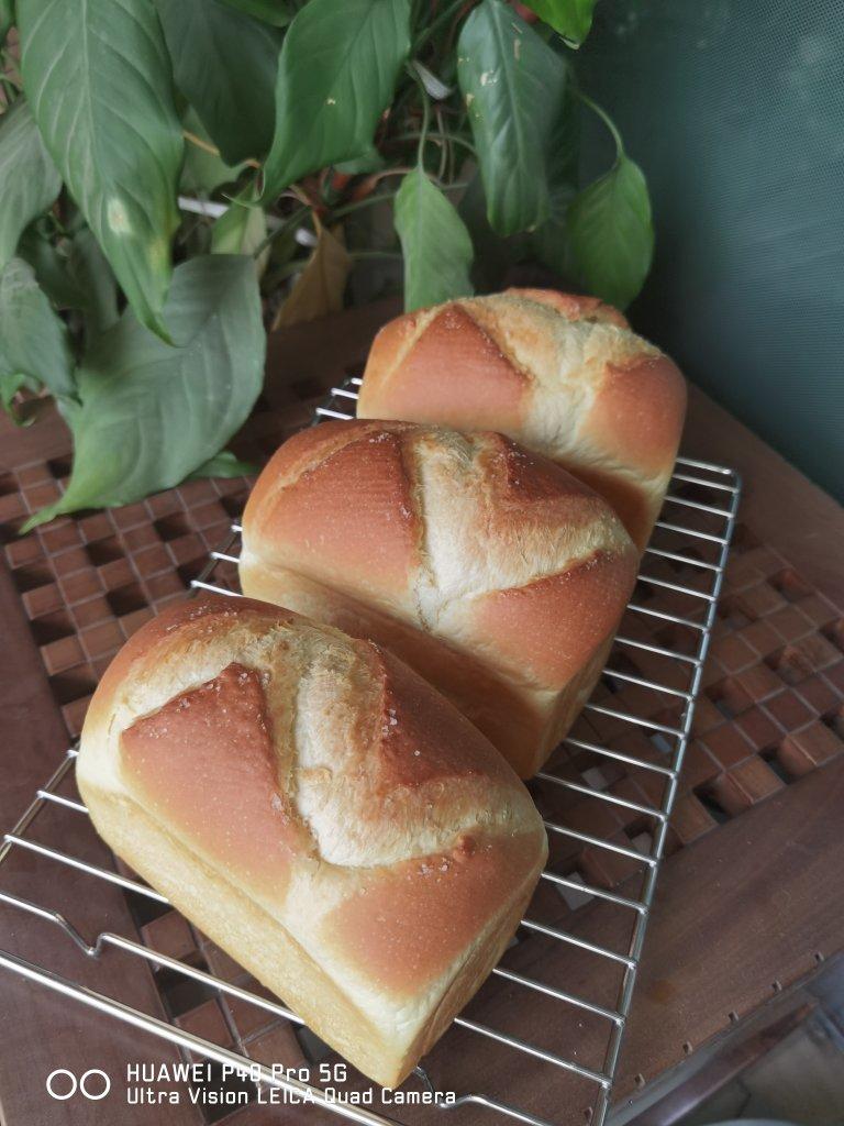 温柔咸香--奶盐小吐司