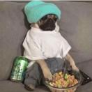 化着妆的格格巫