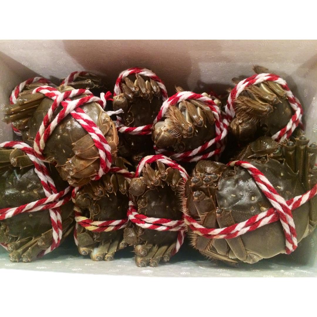 清蒸大闸蟹