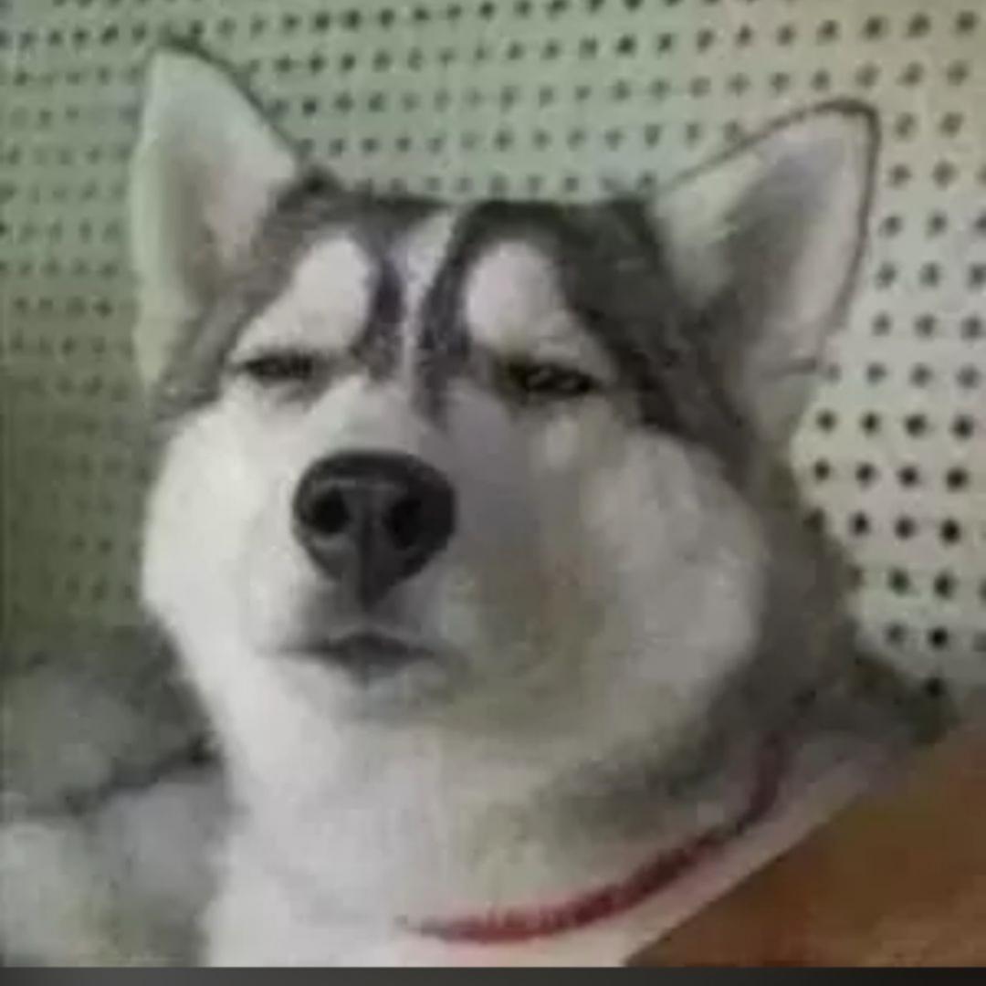 迟早饿死