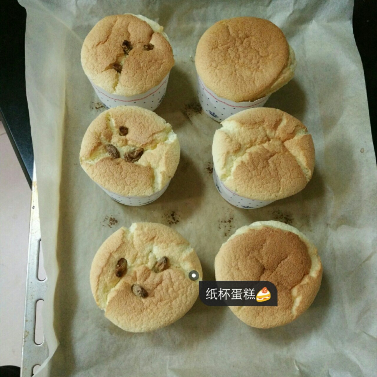 棉花纸杯蛋糕