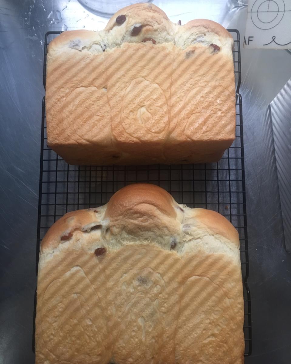 我最近每天做一个的葡萄干吐司，真的超松软好吃！