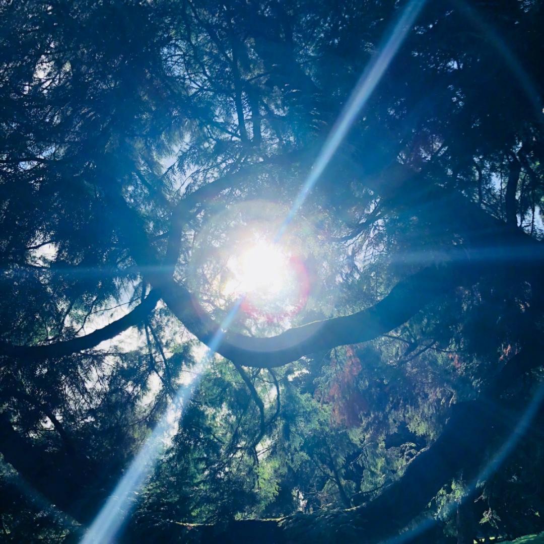 嫣然一笑王天龙