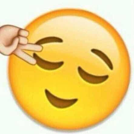 新宝的菜鸟厨娘