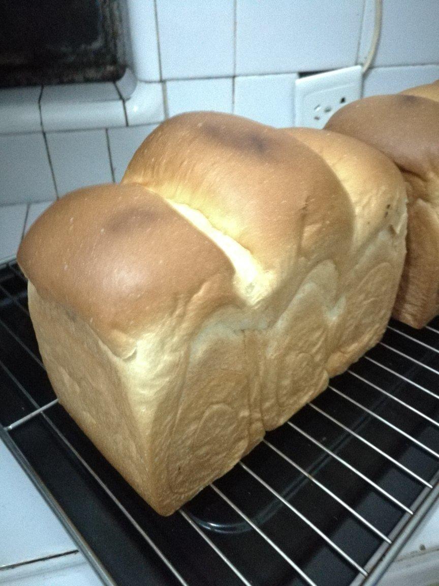 北海道吐司--100%中种