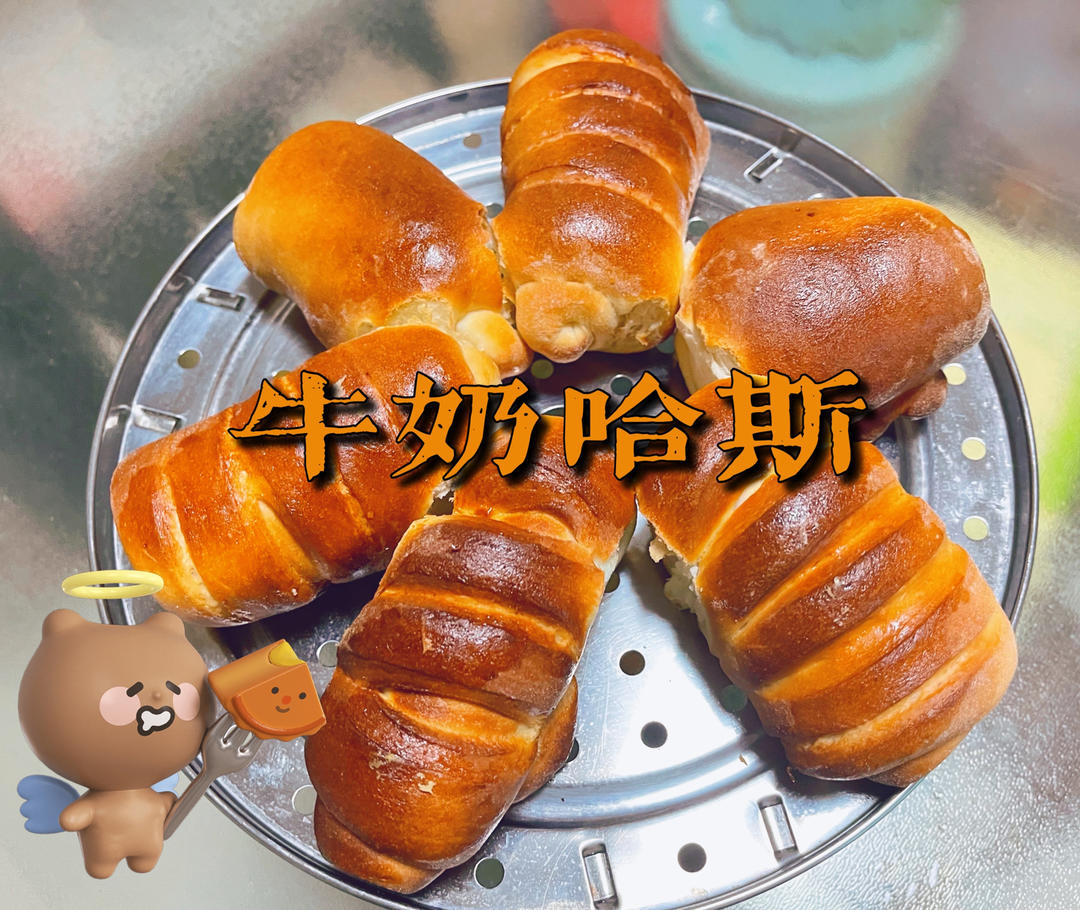 牛奶哈斯