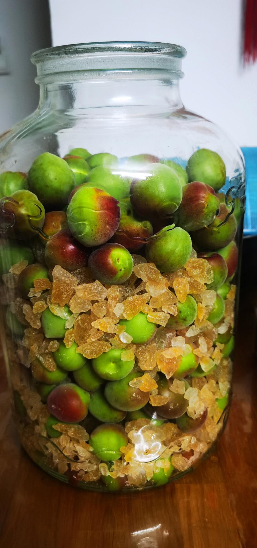 【青梅酒】梅子的沉醉时光（已填坑）