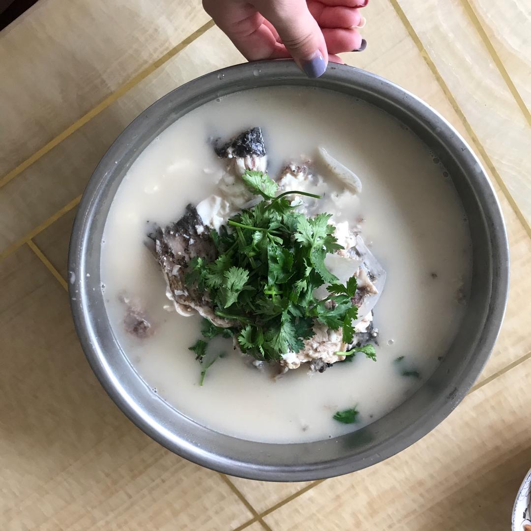 伍猫做的昂子鱼豆腐汤