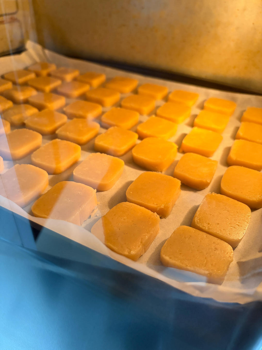 万年青饼干/曲奇——饼干糖果系列（三十）